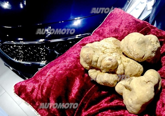 DS, eccellenza francese alla Fiera del Tartufo Bianco di Alba DS, eccellenza francese alla Fiera del Tartufo Bianco di Alba