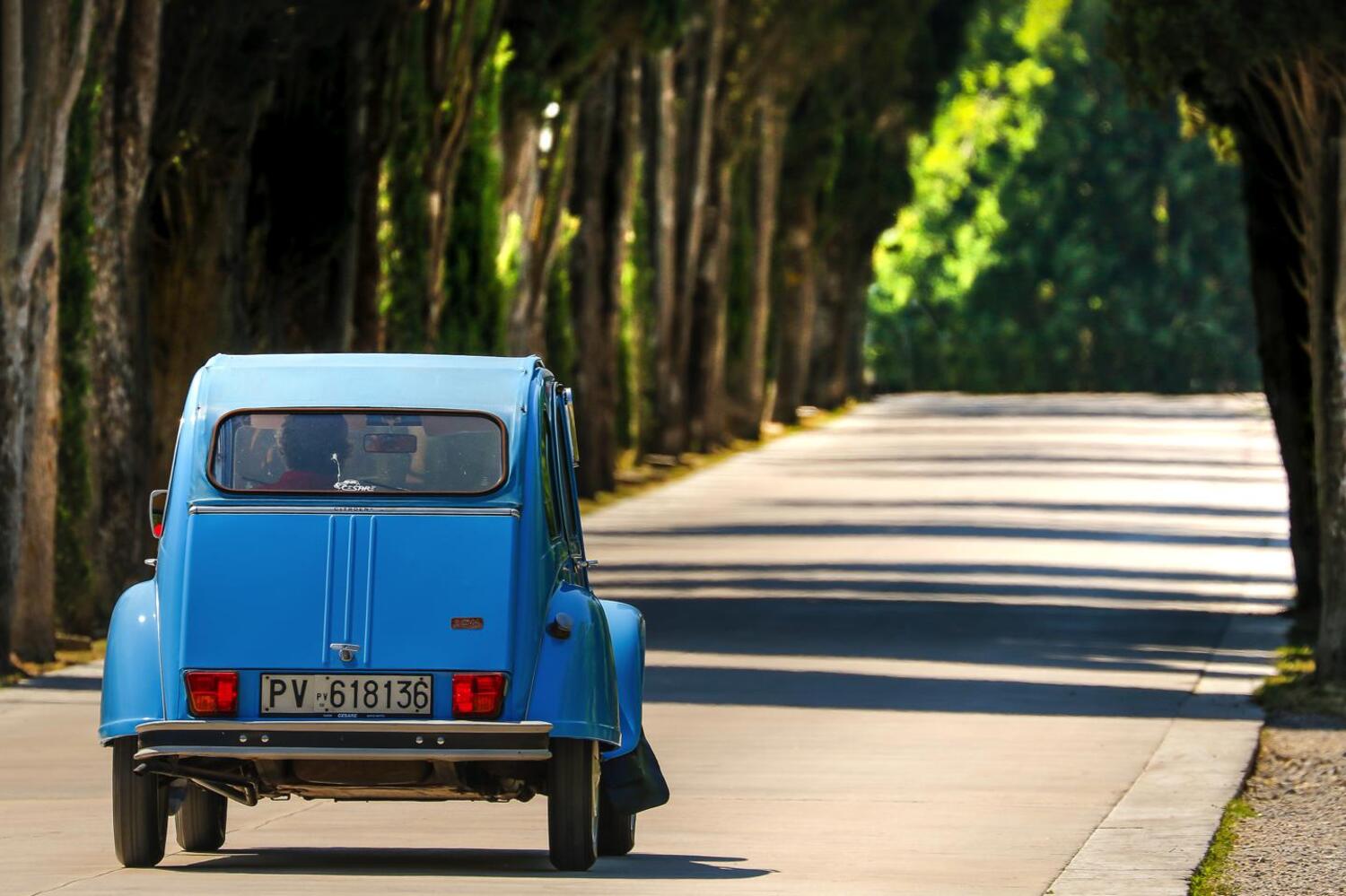 Citroen 2CV 70th Anniversary-2, PI413… Questa ve la racconto…
