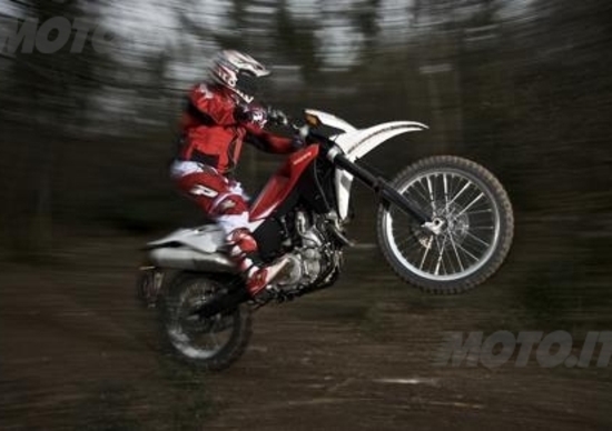 Le nuove Husqvarna SM e TE 630 2010 Le nuove Husqvarna SM e TE 630 2010