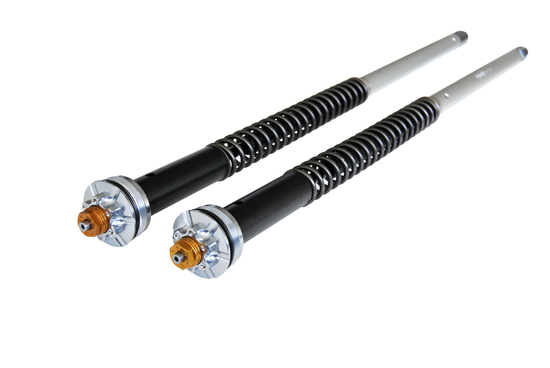 Andreani: kit cartuccia per BMW F800 GS Andreani: kit cartuccia per BMW F800 GS