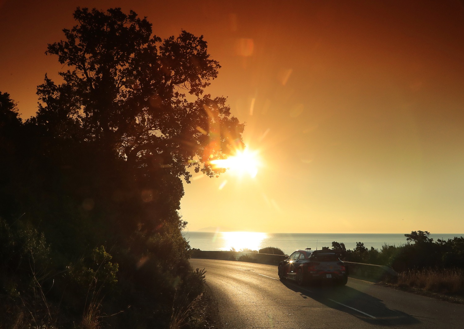 WRC, Tour de Corse 2019: le foto più belle