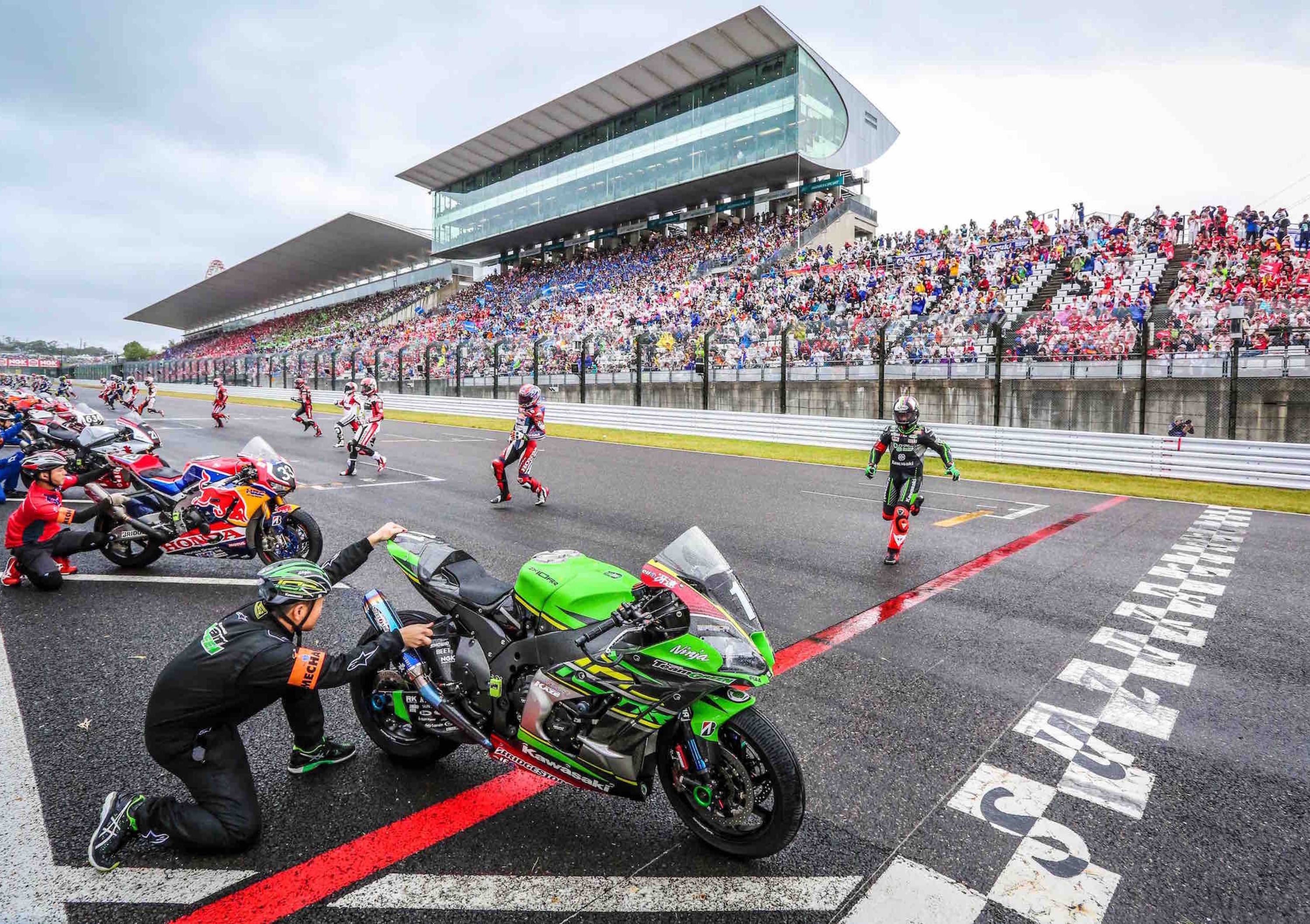 Cinque cose da sapere sulla 8 ore di Suzuka Sport Moto.it