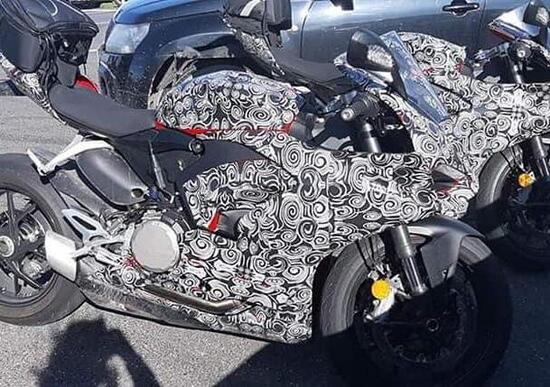 Nuova Ducati Panigale 959 2020, foto spia Nuova Ducati Panigale 959 2020, foto spia