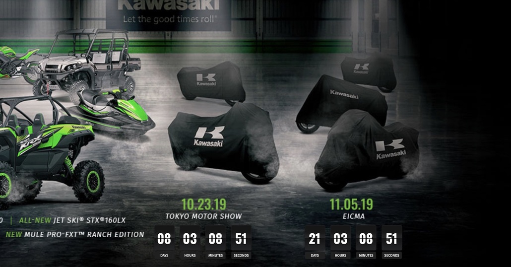 Kawasaki: cinque novità fra EICMA e Tokyo