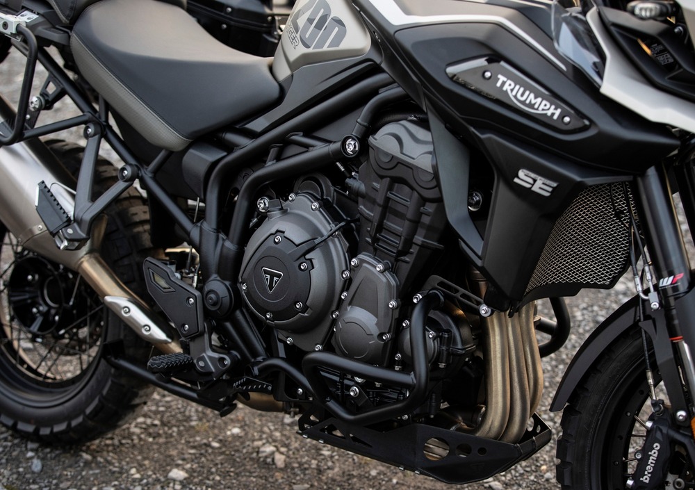 tiger 1200 alpine edition