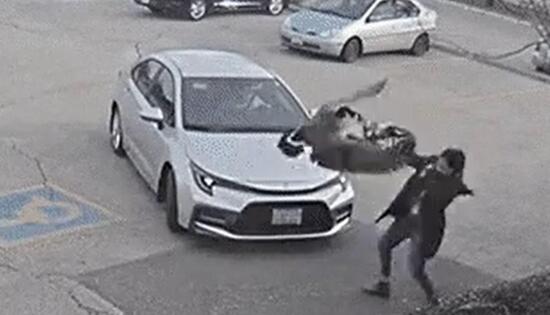 L'uomo sblocca le portiere, per far salire la donna in auto, ma insieme a lei si infila dentro anche l'uccello che le stava addosso