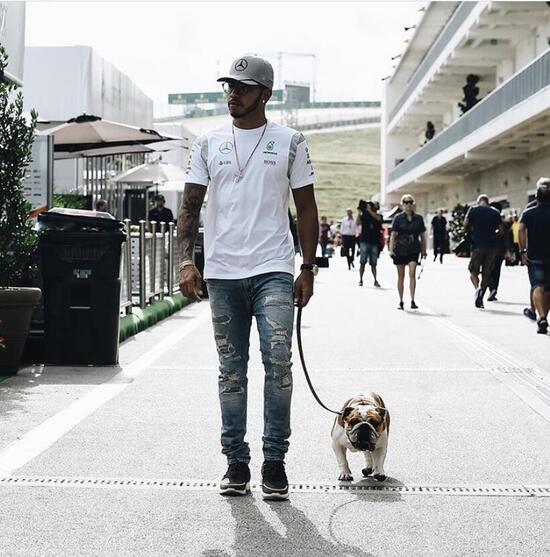 F1, Hamilton dice addio alla sua Coco, il cane con il pass per il paddock F1, Hamilton dice addio alla sua Coco, il cane con il pass per il paddock