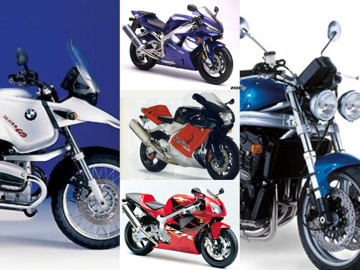 Segugio Italiano Wikipedia