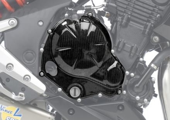 LeoVince Carbon Fiber per Kawasaki Er-6n LeoVince Carbon Fiber per Kawasaki Er-6n