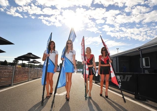Le ragazze più belle del GP di Phillip Island Le ragazze più belle del GP di Phillip Island