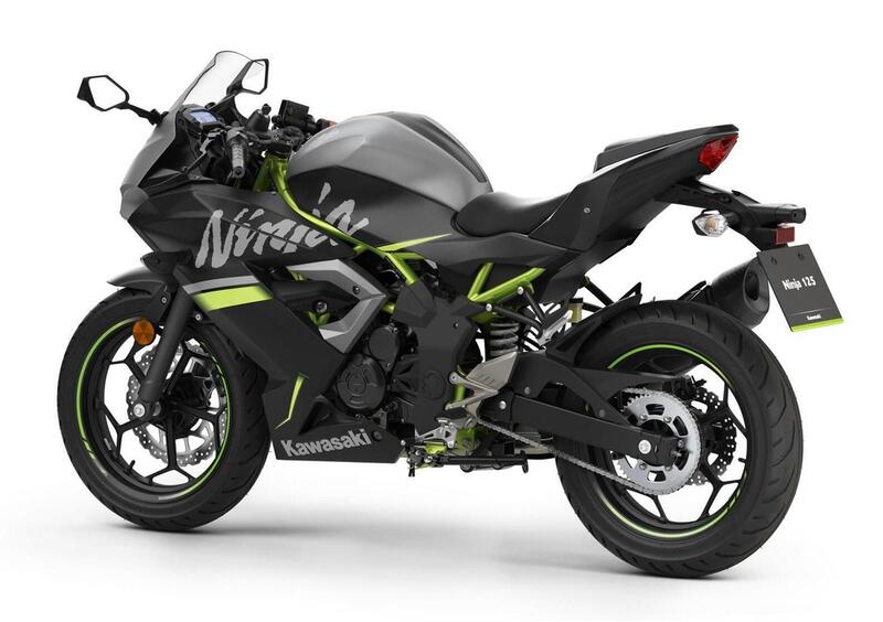 Spiritus Herre venlig ulæselig Kawasaki Ninja 125 Performance (2021 - 22), prezzo e scheda tecnica -  Moto.it
