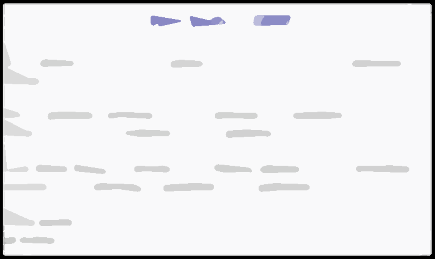 20210226 125249049 5306