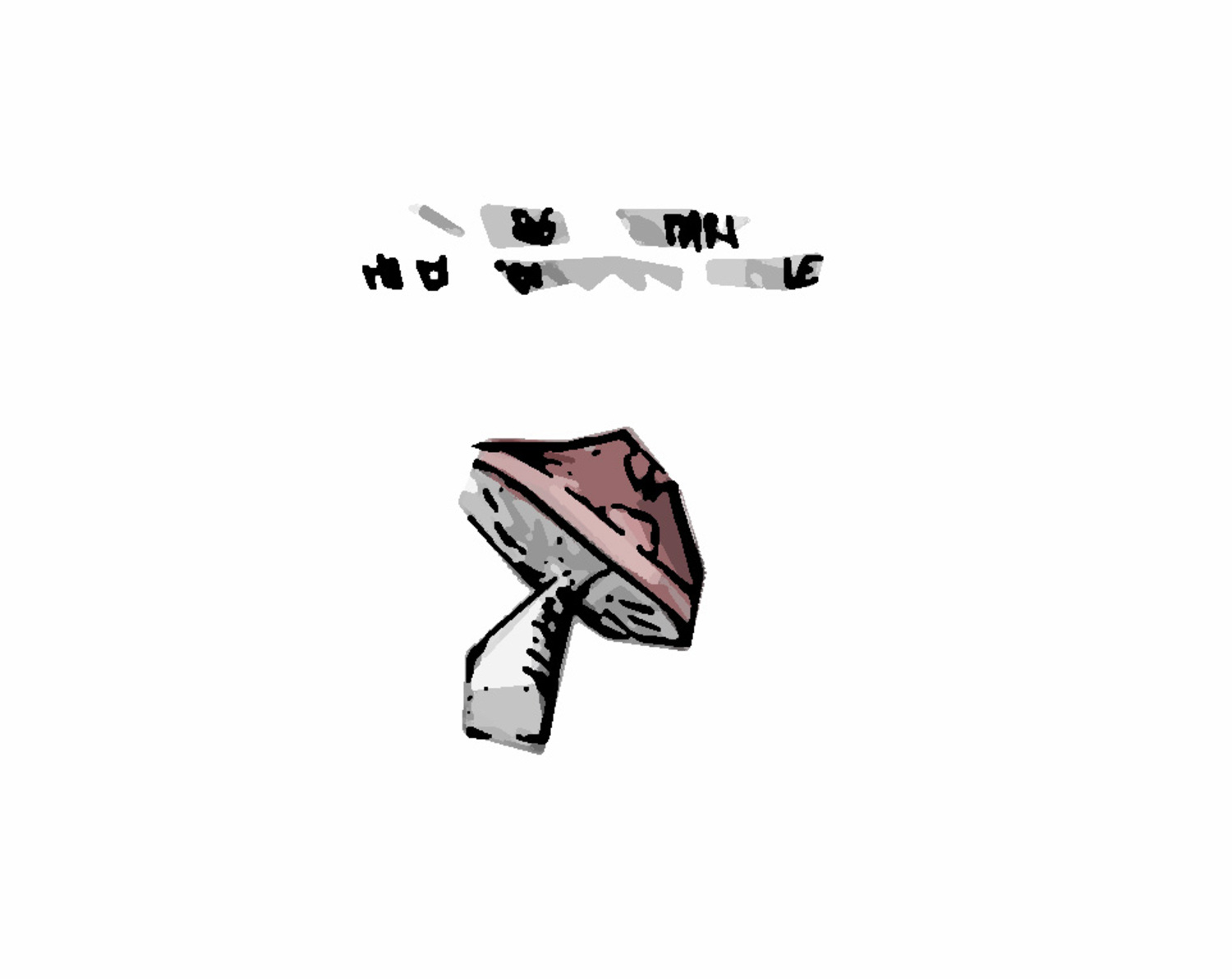 20210328 113914482 2524