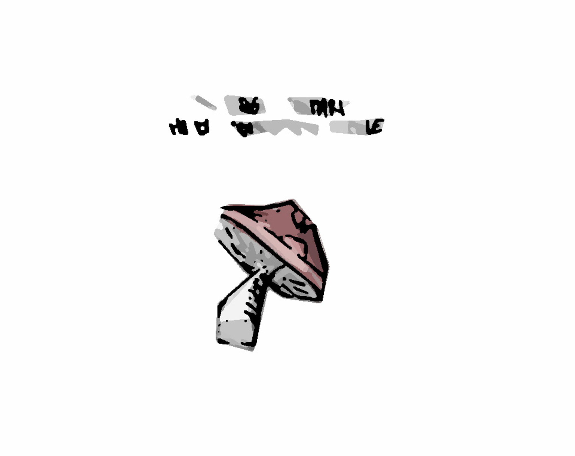 20210328 113914482 2524