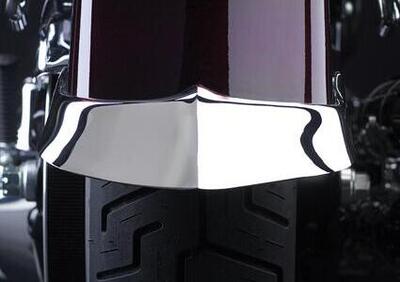 Ornamento parafango posteriore cromato per Softail National Cycle - Annuncio 8555502