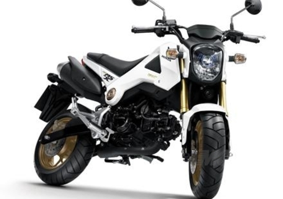 Nuovi colori per la Honda MSX125 2014 Nuovi colori per la Honda MSX125 2014