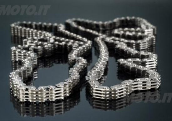Catene distribuzione Vertex 2014 Catene distribuzione Vertex 2014
