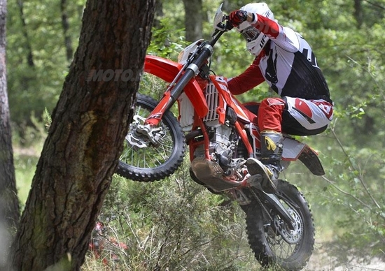 Gamma Beta Enduro RR 2015 Gamma Beta Enduro RR 2015