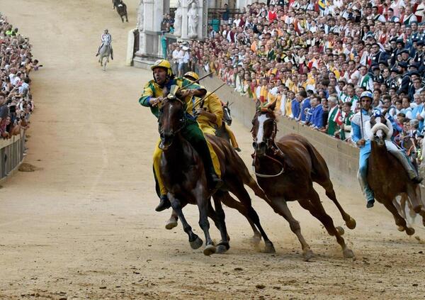 Palio di Siena, gli Animalisti choc: &ldquo;Il sindaco &egrave; un assassino&rdquo;. Denunciano 50 cavalli morti