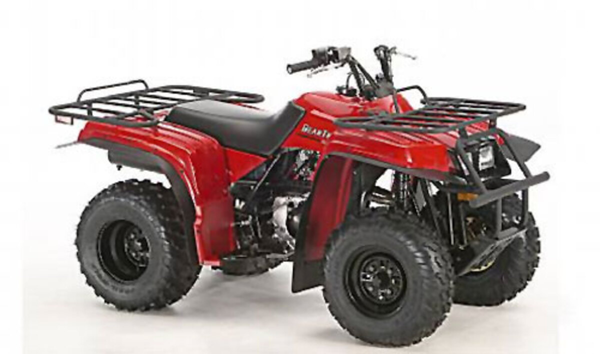 Yamaha Bear Tracker 250 X, prezzo e scheda tecnica Moto.it