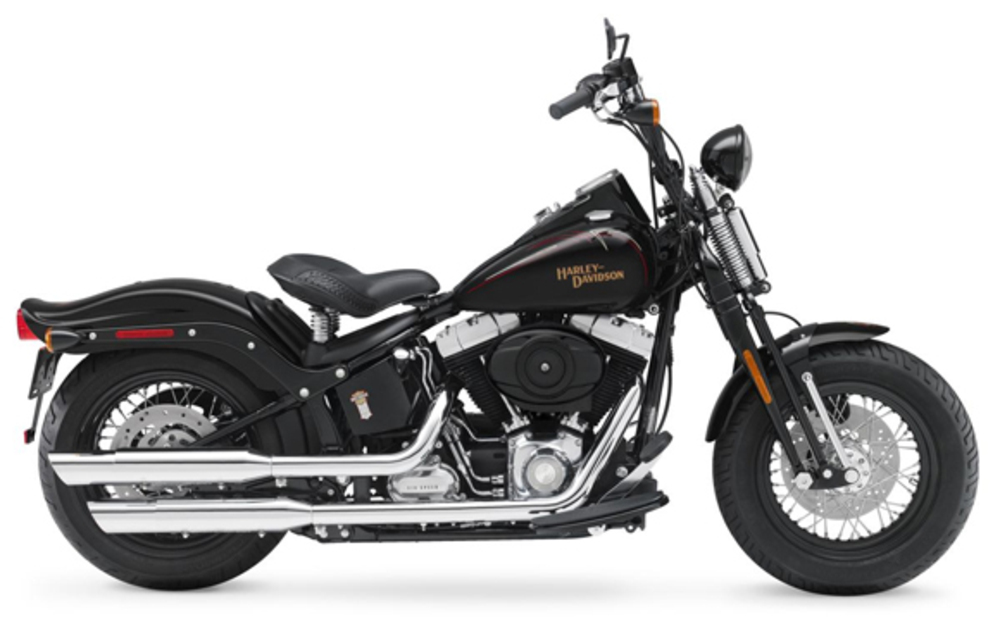 Harley-Davidson 1584 Cross Bones (2008 - 11) - FLSTSB, prezzo e scheda  tecnica - Moto.it
