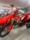 Betamotor - RR 390 4T Enduro (2024)