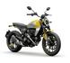 Ducati - Scrambler 800 Icon (2023 - 25)