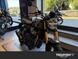 Royal Enfield - Bear 650 (2025)