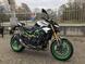 Kawasaki - Z 900 SE Performance (2025 - 26)
