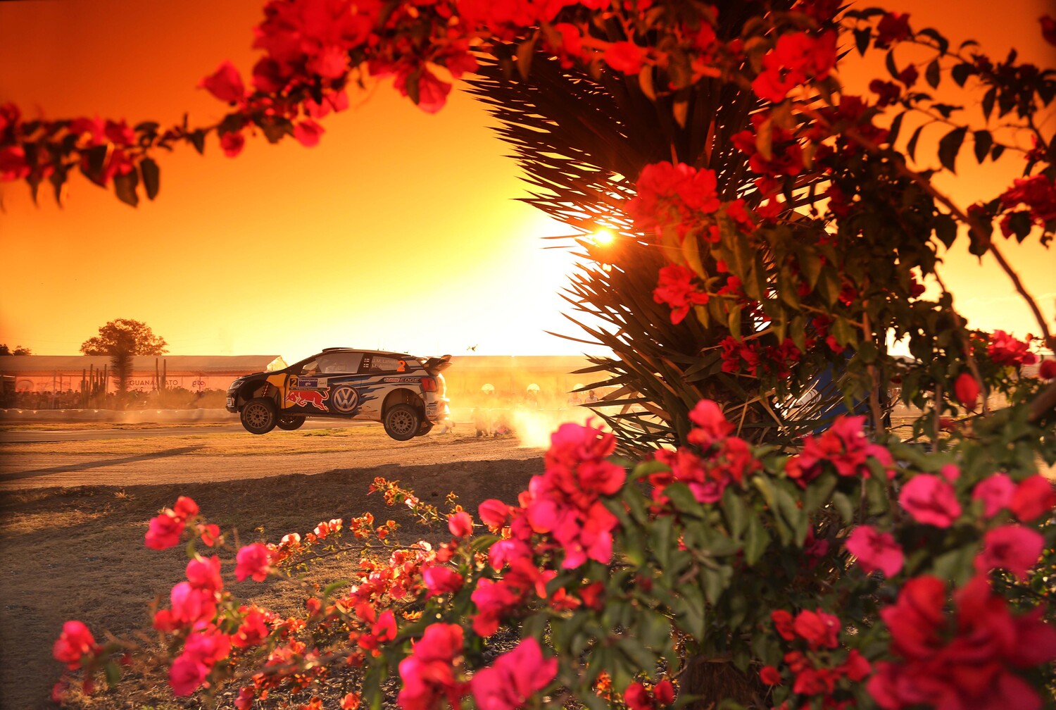 WRC, le foto più belle della stagione 2016