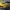 Chevrolet Corvette Z06, arriva in Europa: ecco i prezzi
