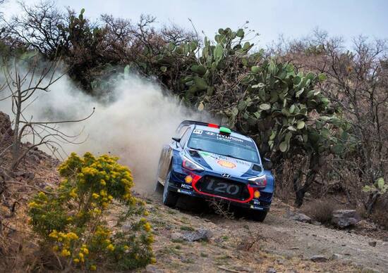 WRC17 Mexico. Grandi programmi. Ma intanto Piove! WRC17 Mexico. Grandi programmi. Ma intanto Piove!